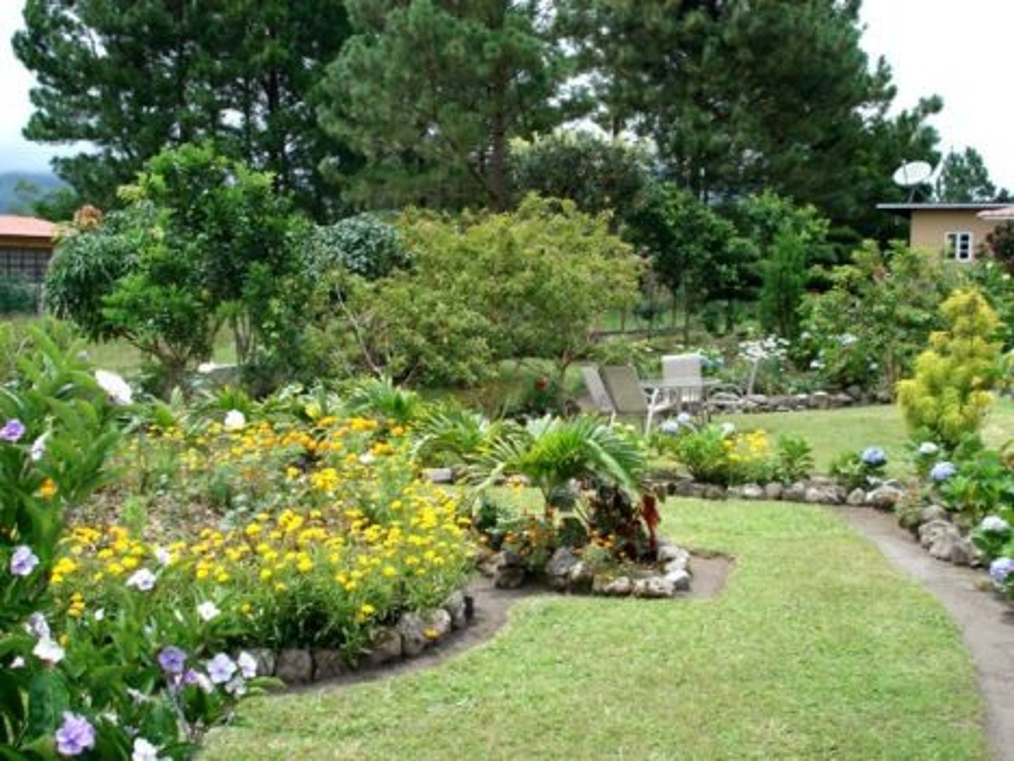 <p>garden; yard</p>