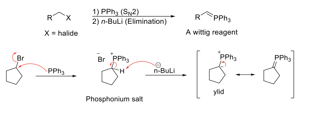 <p><strong>Notes:</strong></p><p>Unstabilized ylids (with alkyl group) = Z isomer (same)</p><p>Stabilized ylids (with EWG) = E isomer (opposite)</p><p>Must be done on methyl, primary, secondary R-X due to S<sub>N</sub>2.</p><p>Common bases used → NaH, n-BuLi, PhLi, NaNH<sub>2</sub></p><p></p><p><strong>Mechanism:</strong></p><p>PPh<sub>3</sub> attacks R-X and kicks X out (S<sub>N</sub>2). Base deprotonates C, leaving a negative charge on C and a positive charge on PPh<sub>3</sub>. Resonance occurs and double bond forms between C and PPh<sub>3</sub></p>