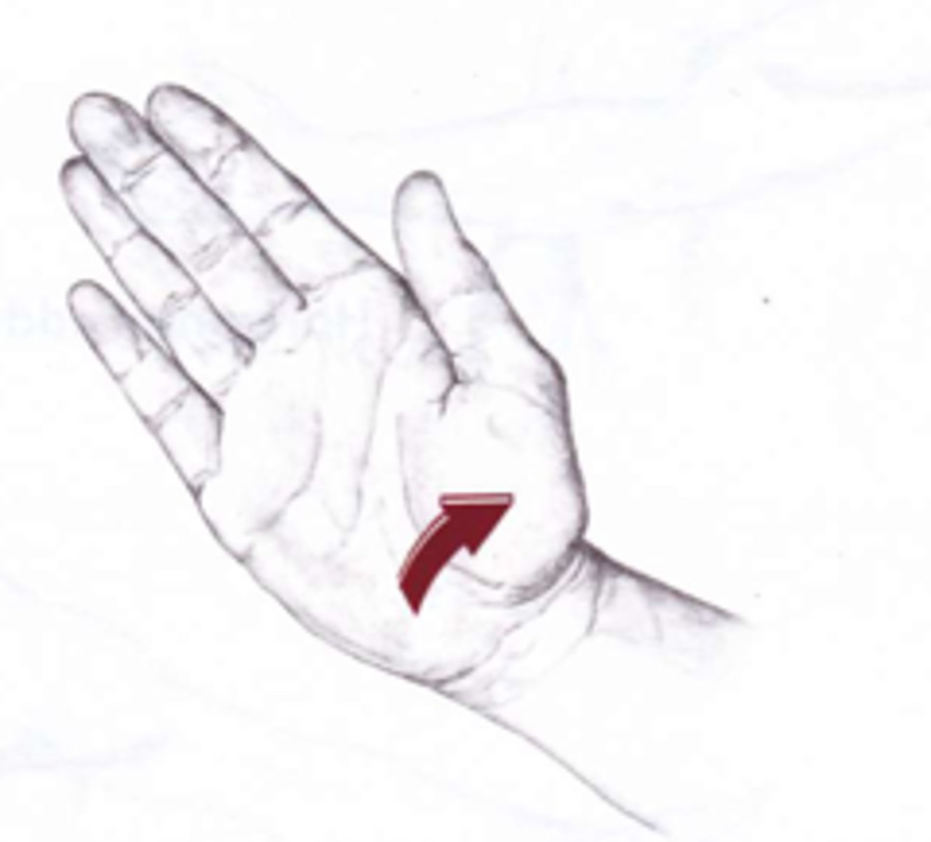 <p>More limited than ulnar deviation due</p><p>to presence of the radial styloid</p><p>- Carpal rows roll radially and side ulnarly</p><p>- Midcarpal joint motion > radiocarpal joint motion</p>