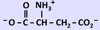 <p>What amino acid is this?</p>