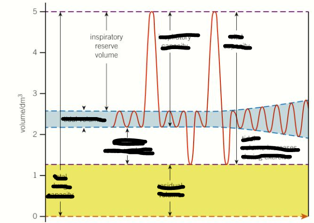 <p>Inspiratory reserve volume</p>