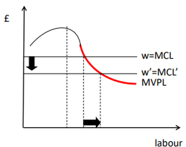 <ul><li><p>In a perfectly competitive labour market, the wage is the marginal cost of labour, and each firm treats it as given</p></li><li><p>The perfectly competitive, profit maximising firm will employ workers up to the point where w=MVPL</p></li></ul><ul><li><p>In a perfectly competitive labour market, the wage is the marginal cost of labour, and is given</p></li></ul><p></p>