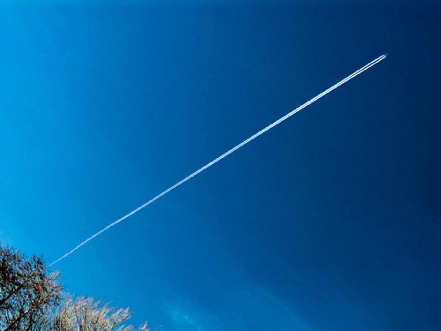 <p>just, straight</p>