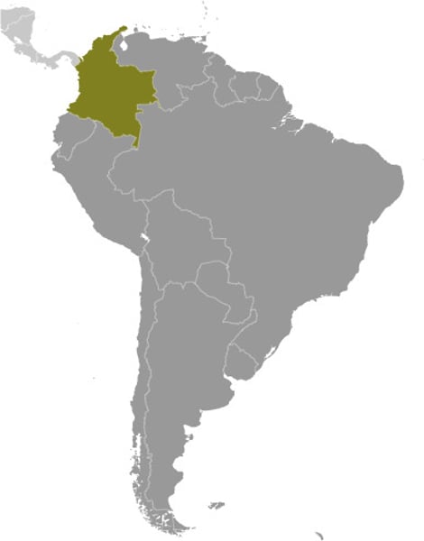 <p>Bogotá</p>