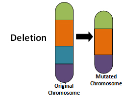 <p>What type of chromosomal nondisjunction is this and what does this mean?</p>
