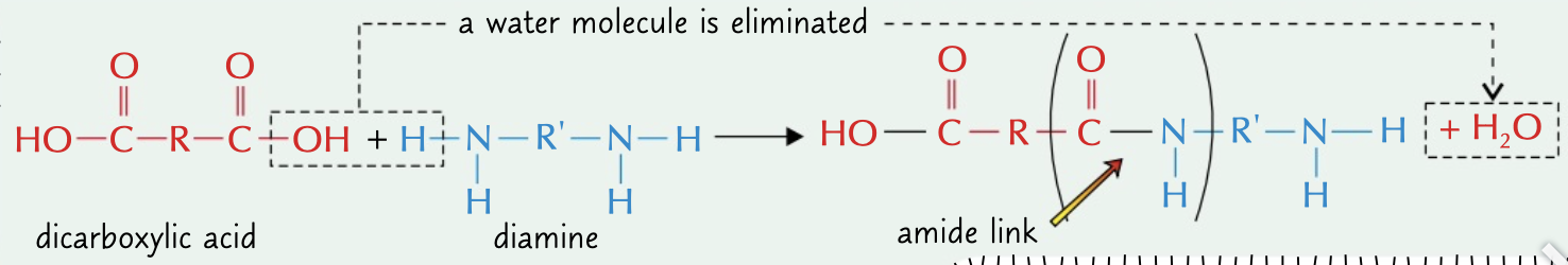 <p>made form dicarboxylic acid and diamine monomers, form amide links between them when the -OH and H react releasing water</p>