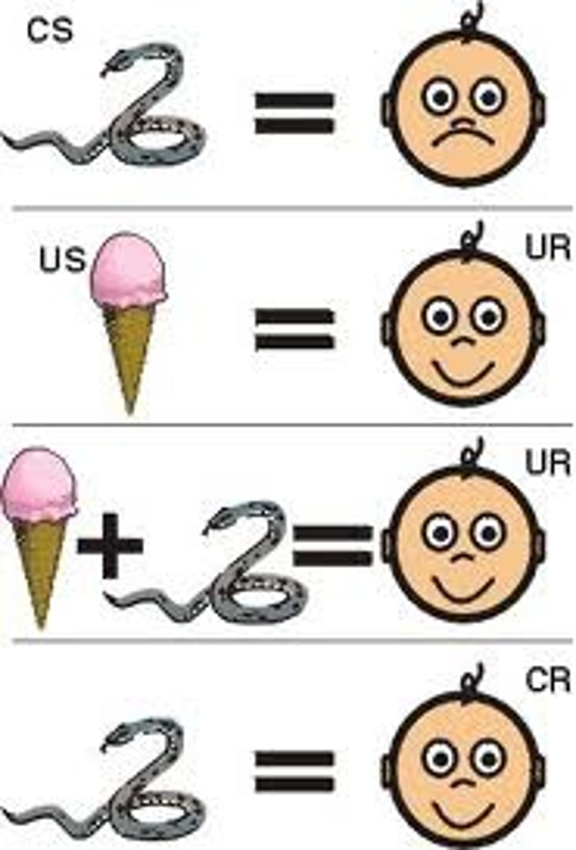 <p>a behavior modification technique in which a stimulus that creates a negative response is paired with something known to create a positive response</p>