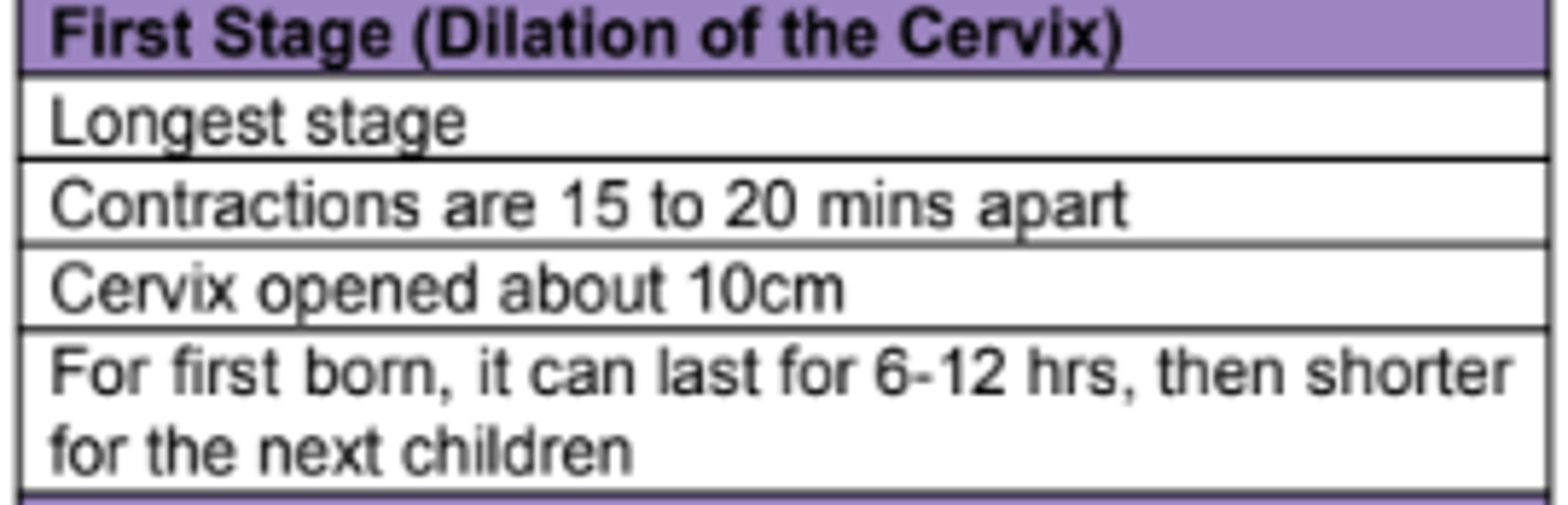 <p>1. First stage, the longest, typically lasts 12 to 14 hours. </p><p>o Regular and increasingly frequent uterine contractions—15 to 20 minutes apart at first.</p><p>o Toward the end of the first stage, contractions occur every 2 to 5 minutes.</p><p>o Cervix is fully open (10 centimeters, or about 4 inches).</p>