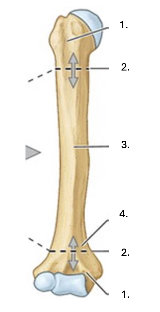 <p>What is number 2?</p>