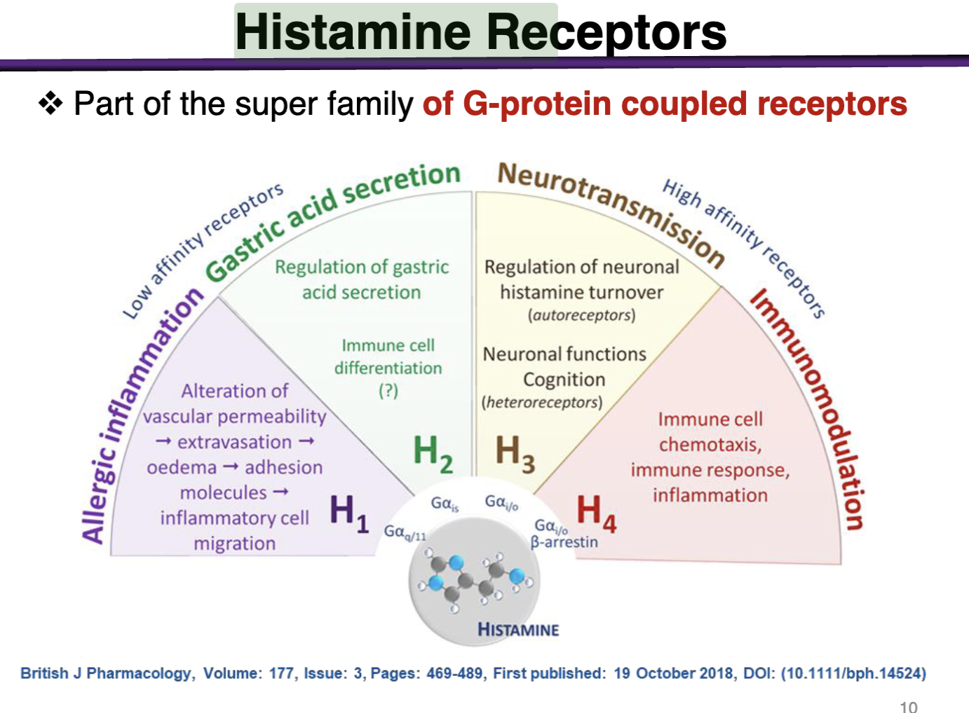 <p><strong>B) G-Protein Coupled Receptors</strong></p>