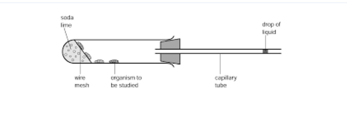 <p>Explain this respirometer</p>