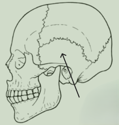 <img src="https://knowt-user-attachments.s3.amazonaws.com/4a8a2253-f6f5-4377-a693-b30c0ef03e59.png" data-width="25%" data-align="center"><p></p>