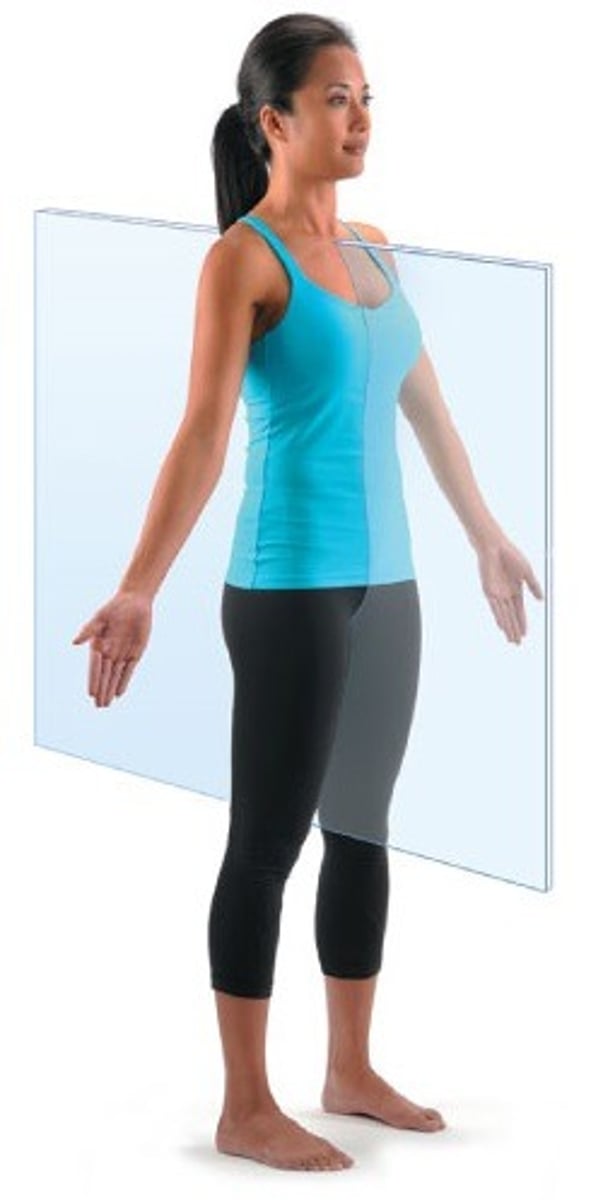 <p>central sagittal plane that divides the body into equal left and right halves</p>