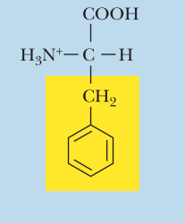 <ul><li><p>Nonpolar</p></li><li><p>Phe, F</p></li><li><p>α-COOH pKa: 1.8</p></li><li><p>α-NH3+ pKa: 9.1</p></li></ul><p></p>