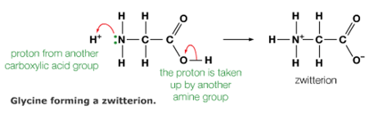 <p>A zwitterion is likely to be formed to PH at isoelectric point both carboxyl and amino group are ionised ( oxygen negative and N is positive)</p><p>Isoelectric is the Ph average overall change is zero this dependant on the R group</p><p>zwitterion will dissolve in solution with a PH 7</p>