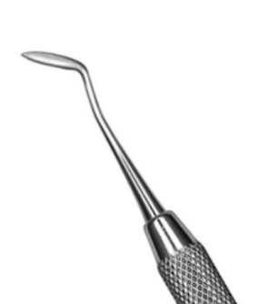 <p>Hollenback Carver</p>