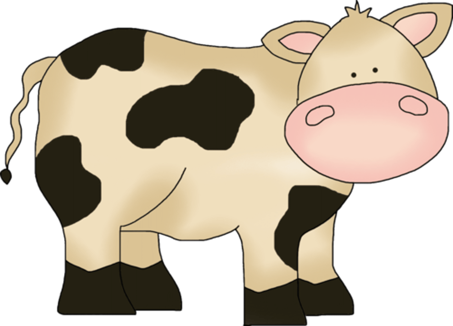 <p>cow</p>