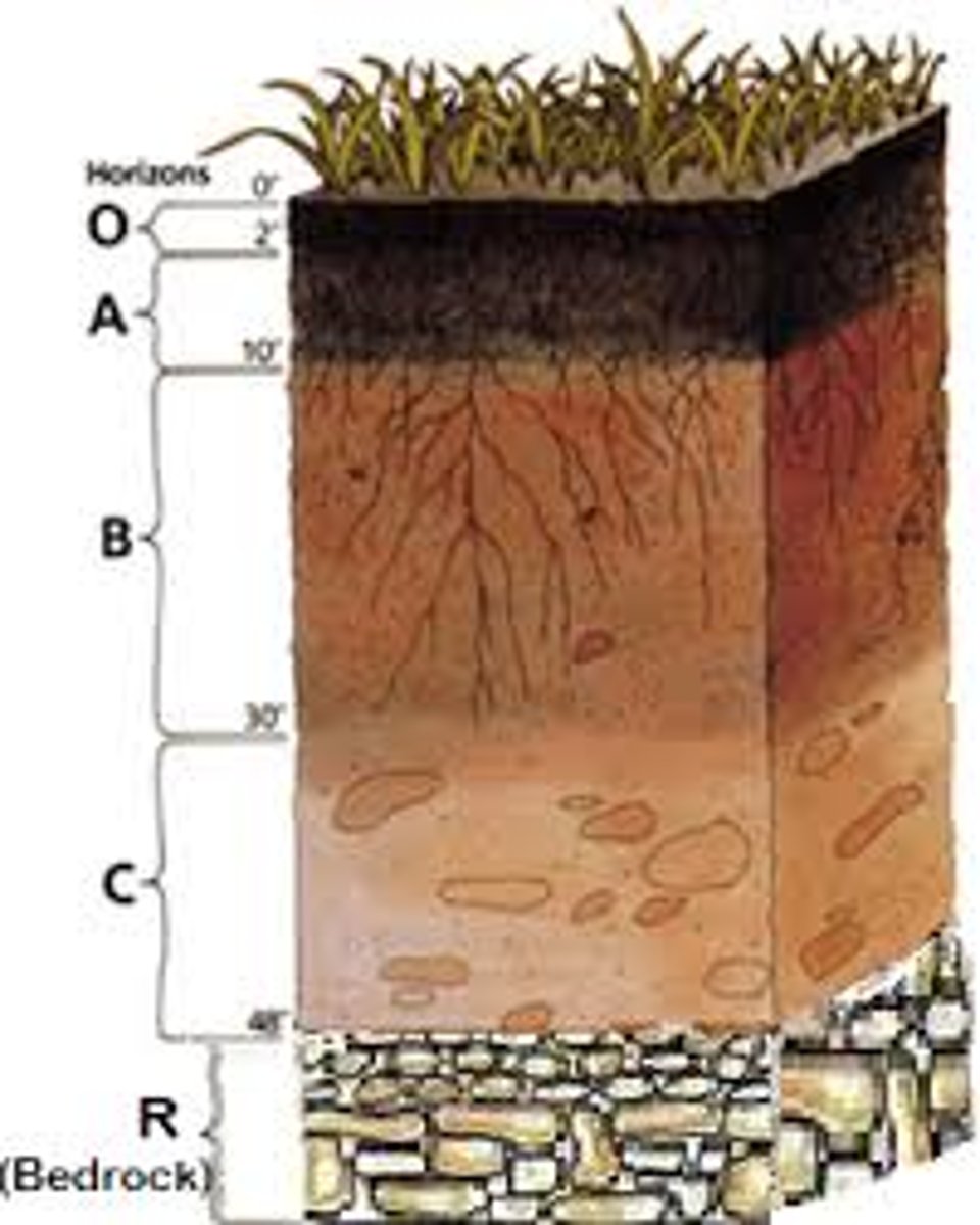 <p>distinct layers of soil</p>
