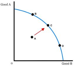 PPC Actual Growth
