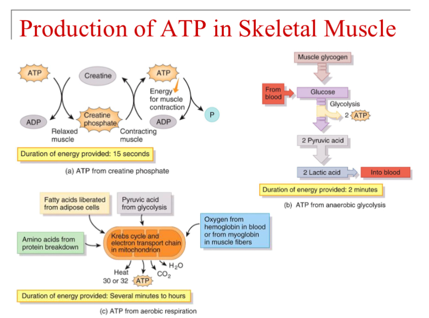 <p>All of the above</p>