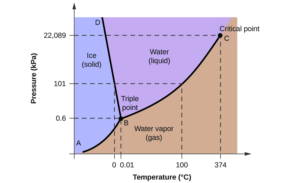 <p>Shows the relationship between phase changes as a function of temperature and pressure</p><ul><li><p>Every substance has a phase diagram  describing:</p><ul><li><p><strong>melting/freezing point</strong></p></li><li><p><strong>boiling /condensation point</strong></p></li><li><p><strong>Triple point: point where all three phases coexist</strong></p></li></ul></li></ul><p><strong>Sublimation range:</strong> range when change from gas to solid</p>