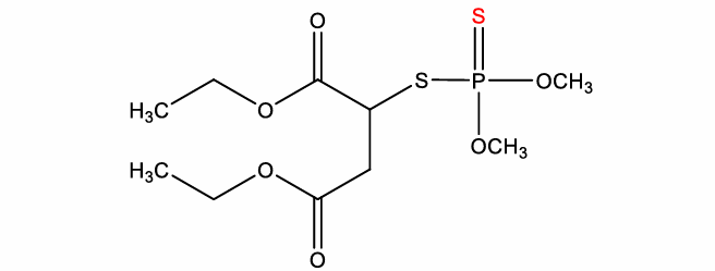 <p>insecticide</p><p>organothiophosphate</p><p>selective toxicity</p>