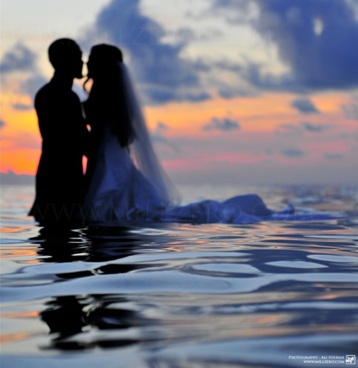 <p>we like people similar to us and people who show interest in us</p>