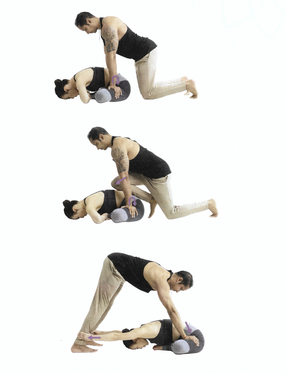 <p>Butterfly Pose</p>