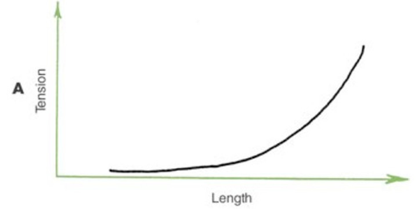 <p>tension applied to load when a muscle is stretched but not stimulated, has more to do with elastic properties</p>