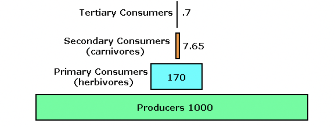 <p>The energy pyramid below shows a possible amount of energy, in kilocalories, available in the organisms at each trophic level in an ecosystem.</p><p></p><p>(photo)</p><p></p><p>According to the law of conservation of energy, energy can neither be created nor destroyed. If this is true, why is there less energy in the top of the energy pyramid than there is in the bottom of the energy pyramid?</p>