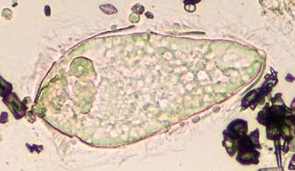 <p>What is this?</p>