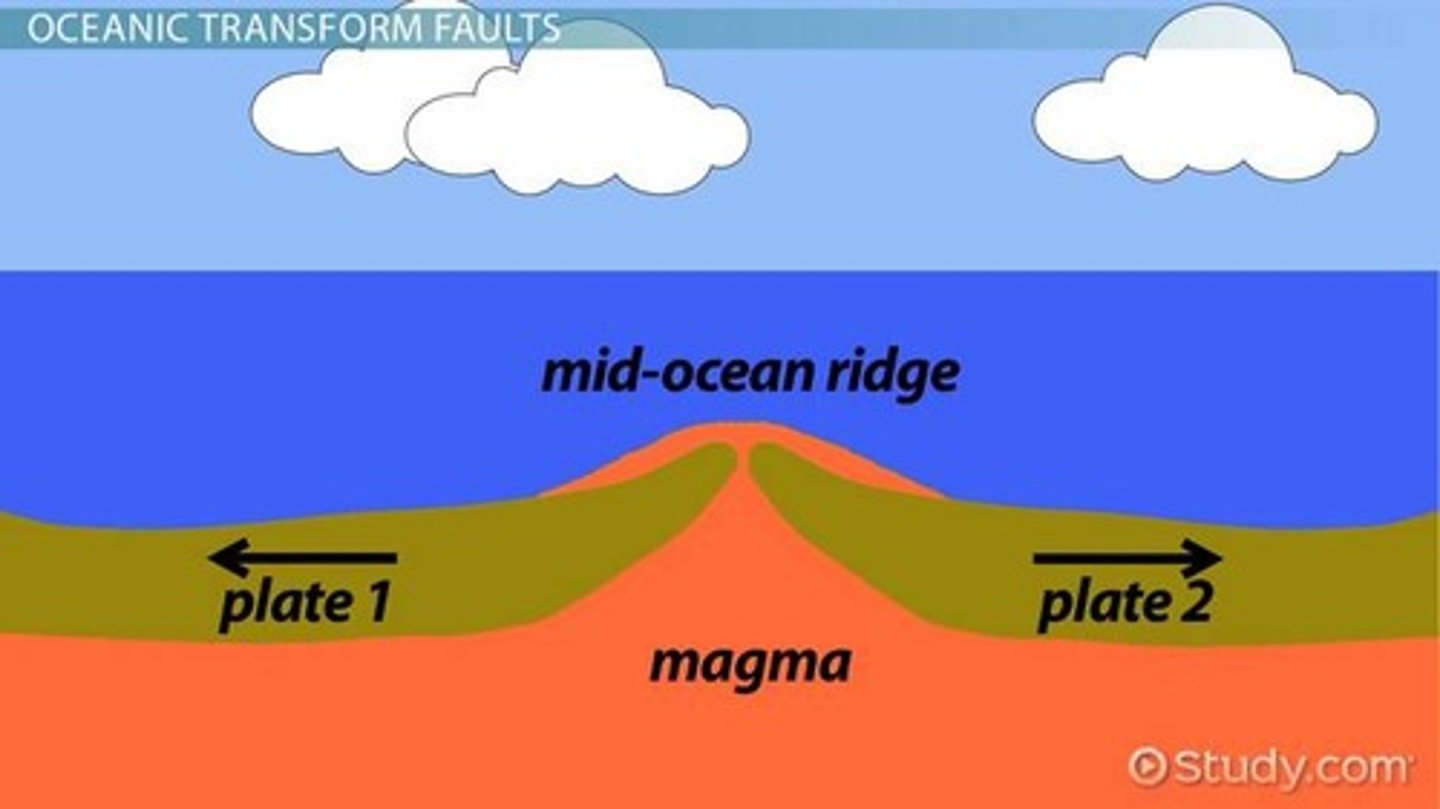 <p>Underwater mountain chains formed by seafloor spreading.</p>