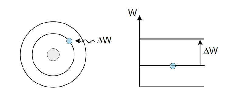 <ul><li><p>Outerer orbits</p></li><li><p>Addition of energy is needed to bring one electron from an inner orbit to an outer orbit</p></li></ul><p></p>