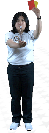 <ul><li><p>first offensive conduct or second rude conduct </p></li><li><p>player/substitute must remain on bench and may not play for remainder of set</p></li><li><p>other expelled member must leave playing area,bench,warm-up area for remainder of set</p></li><li><p>subject to further sanction</p></li><li><p>red and yellow card together (no further penalty such as loss of service or point) </p></li></ul><p></p>