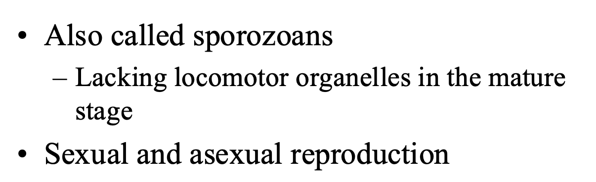 <ul><li><p></p></li></ul><p></p>