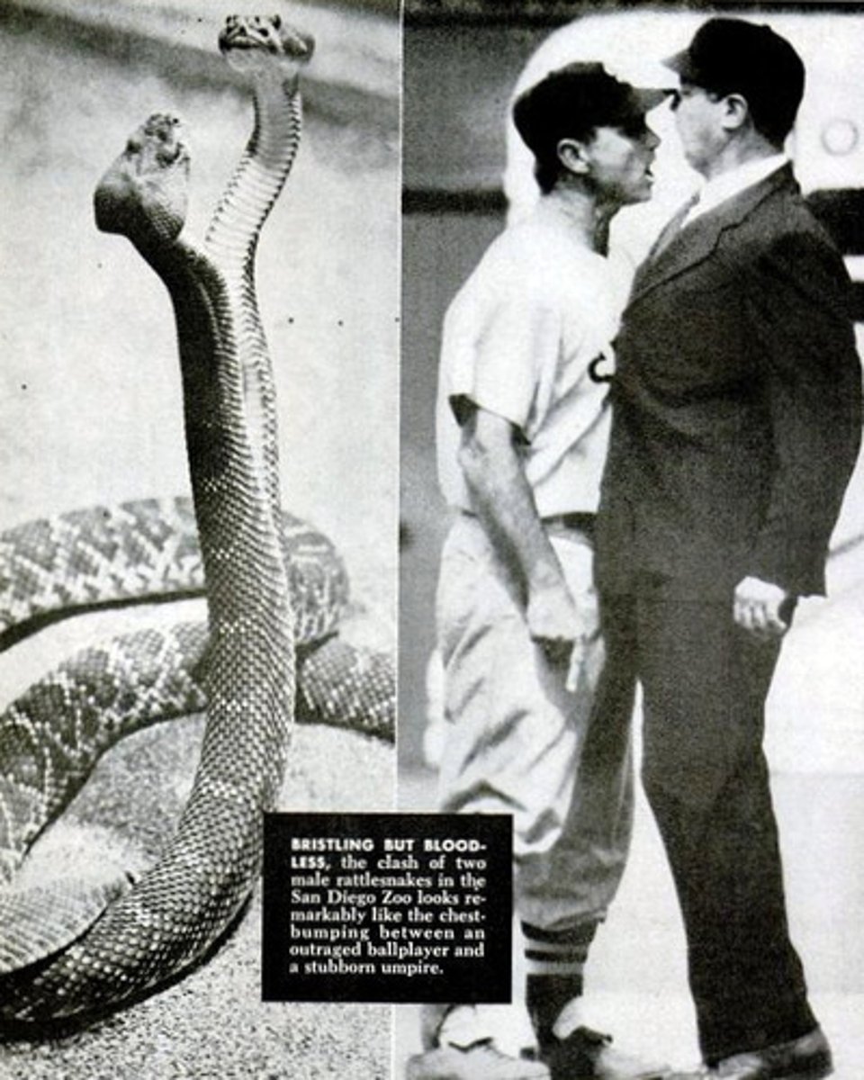 <p>iyi hâl</p>
