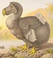 <p>biological extinction</p>