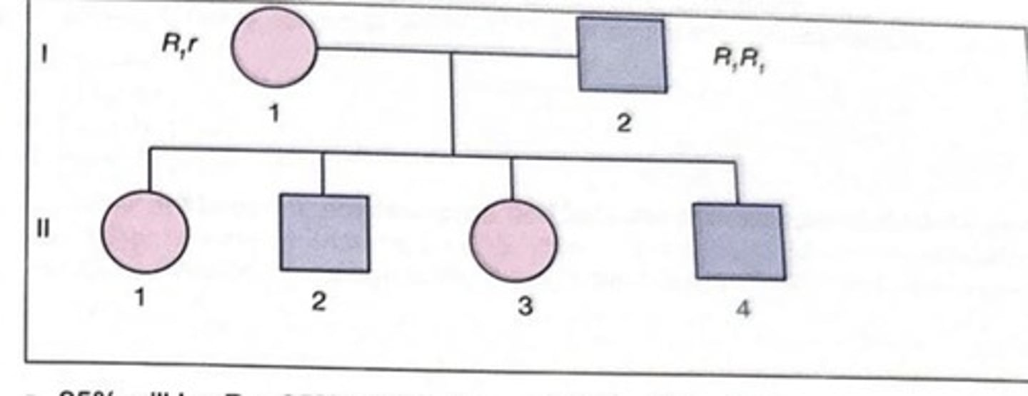 <p>Given the most probable genotypes of the parents shown in this figure, which statement best describes the most probable Rh genotypes of the 4 children?</p><p>a 25% will be R0r, 25% will be R1r, and 50% will be R1R1</p><p>b 50% will be R1r and 50% will be R1R1</p><p>c 100% will be R1r</p><p>d 100% will be R1R1</p>