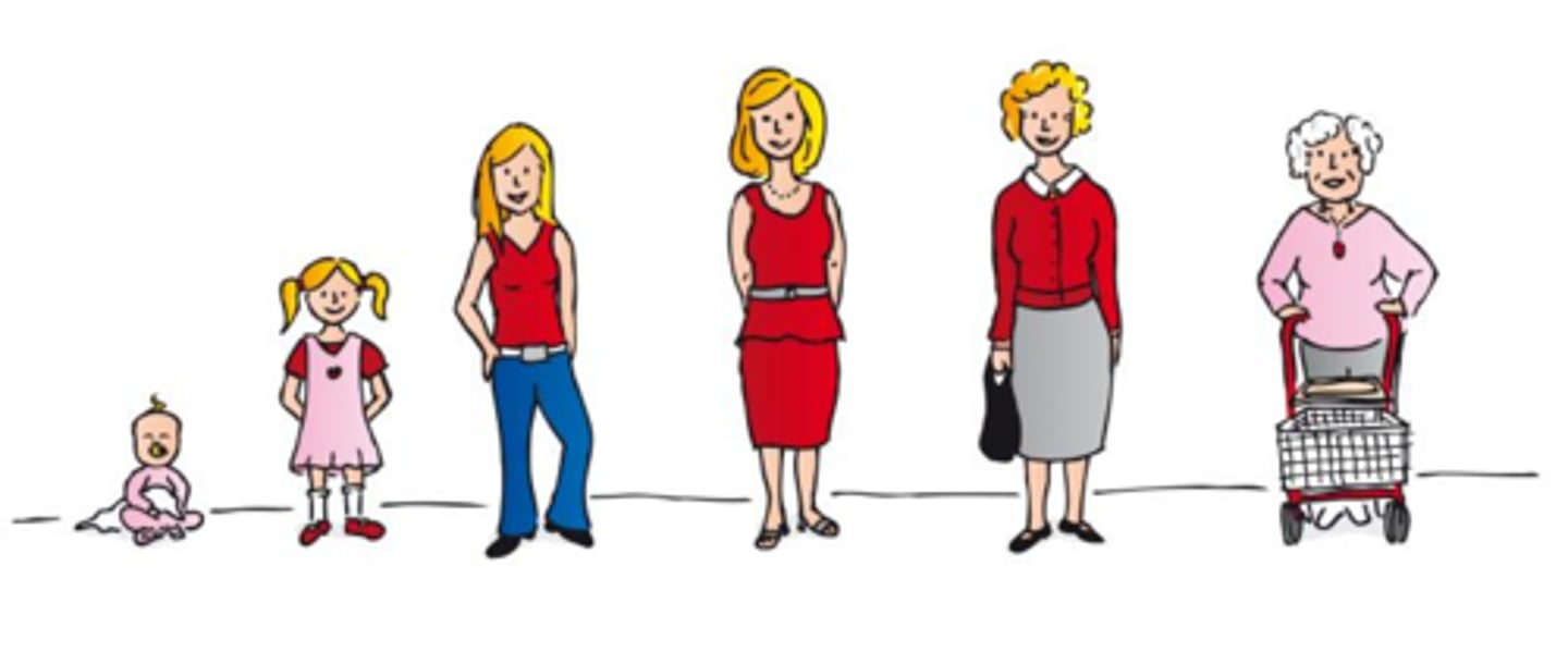 <p>giai đoạn cuộc đời ( phát triển tâm lý, sinh lý)</p>