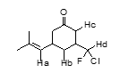 <p><span style="font-family: &quot;Times New Roman&quot;; line-height: normal; font-size: 7pt;"><span> </span></span><span><span>For the molecule below, rank the labeled hydrogen atoms in order of increasing pKa value:</span></span></p><p>A)	Hc&lt;Ha&lt;Hd&lt;Hb</p><p>B)	Hc&lt;Hd&lt;Ha&lt;Hb</p><p>C)	Hd&lt;Ha&lt;Hc&lt;Hb</p><p>D)	Ha&lt;Hc&lt;Hd&lt;Hb</p><p>E)	Hc&lt;Hd&lt;Hb&lt;Ha</p>
