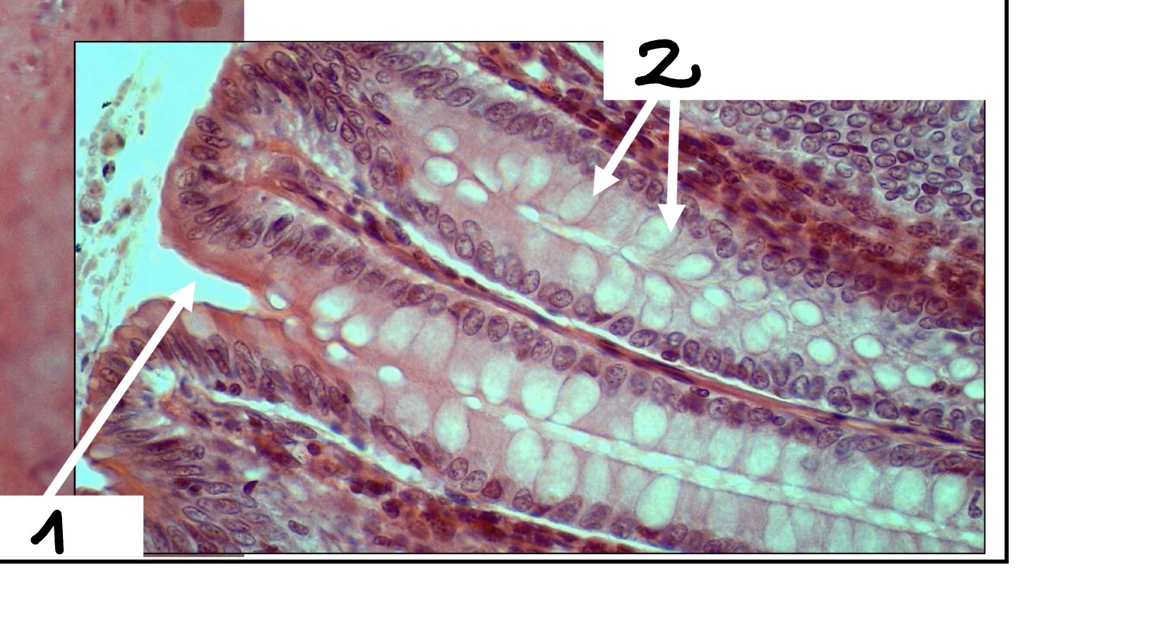 <p>1</p>
