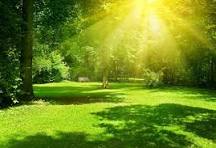 <p>Fine, settled</p>