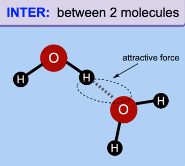 <p><span style="background-color: transparent;"><span>On parles des attractions entre les molécules, ou certaines parties d’une plus grosse molécule</span></span></p>
