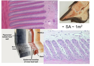 <p>What does this show</p>