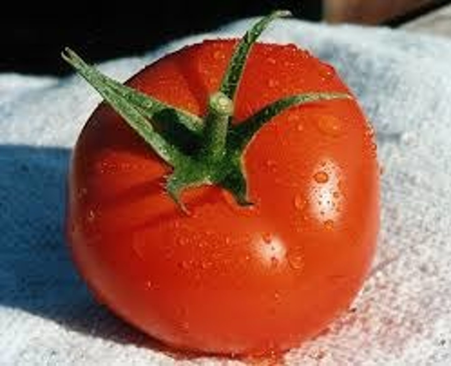 <p>tomato (masc. noun)</p>