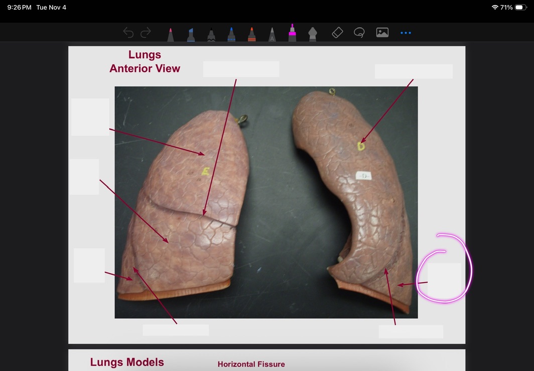 <p>What is this?</p>