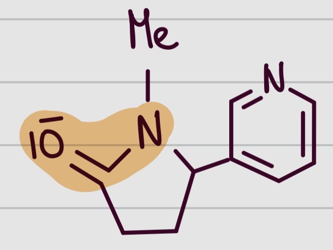 <p>De quelle molécule s’agit il ? </p>