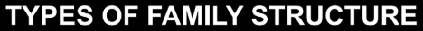 <p>consist of the husband and wife only</p>