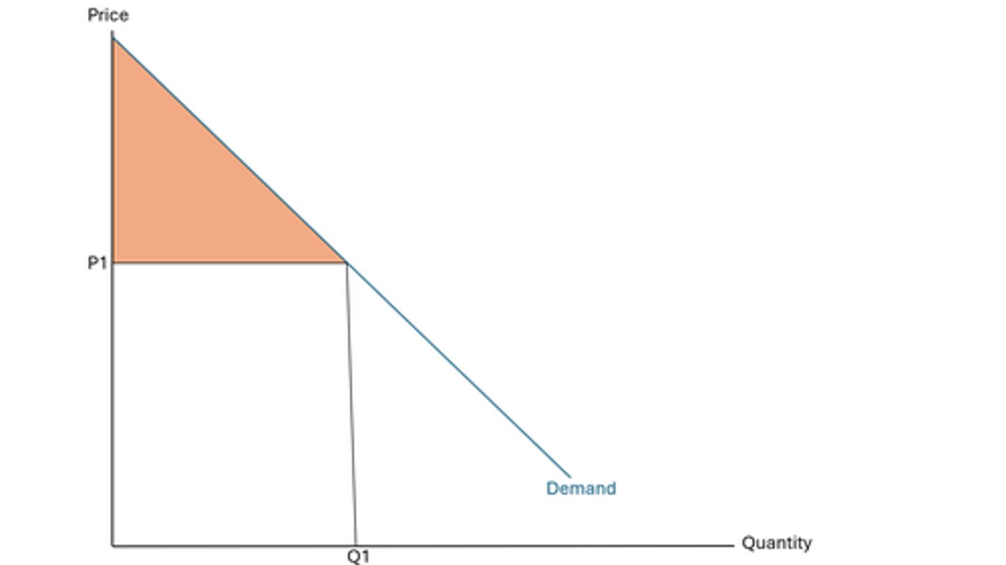 <p>- in a supply and demand diagram, if the price was P1Q1, then the consumer surplus would be the triangle area above this</p><p>- however, under price discrimination, all of this consumer surplus would be turned into monopoly profit</p>