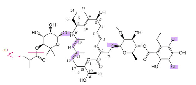 <ul><li><p>18-member macrocyclic lactone</p></li><li><p>binds to sigma subunit of RNA polymerase</p></li><li><p>can undergo metabolism through esterase</p><ul><li><p>metabolite has similar activity to parent </p></li></ul></li><li><p>Chlorines on benzene rings increase activity</p></li><li><p>less stable in acidic pH</p></li><li><p>lots of double bonds - need to be protected from light </p></li><li><p><strong>oral </strong></p><ul><li><p>for local effect only </p></li><li><p>polar and will accumulate in local site (colon) </p></li></ul></li></ul>